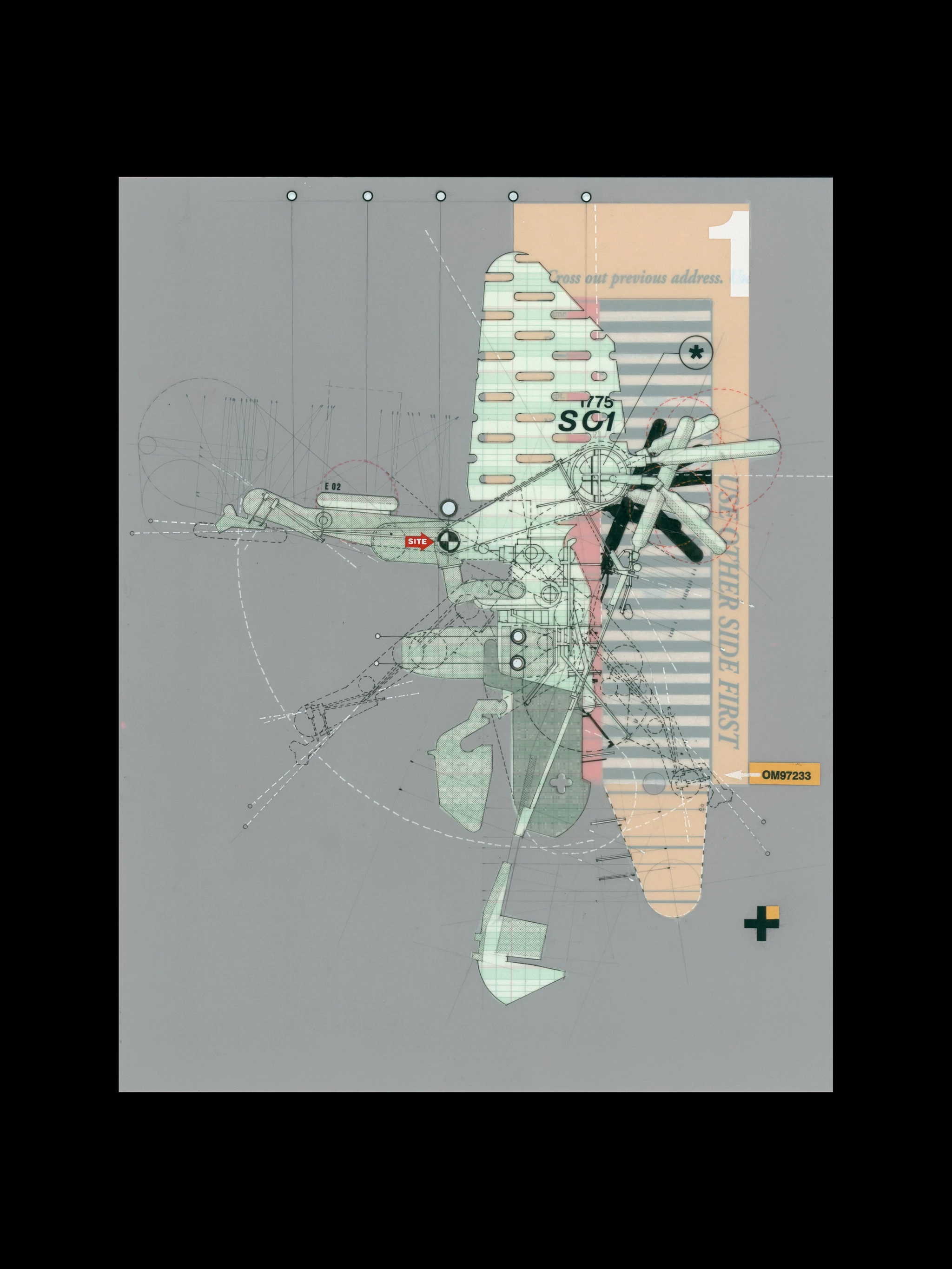 Use other side first / Dizygotic datafield 01